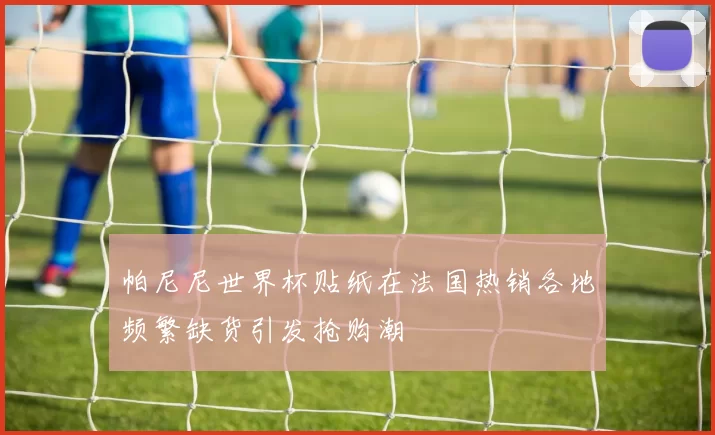 帕尼尼世界杯贴纸在法国热销各地频繁缺货引发抢购潮